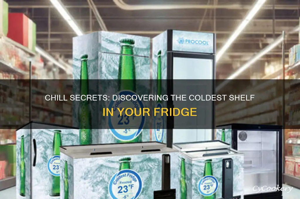 which shelf in refrigerator is the coldest