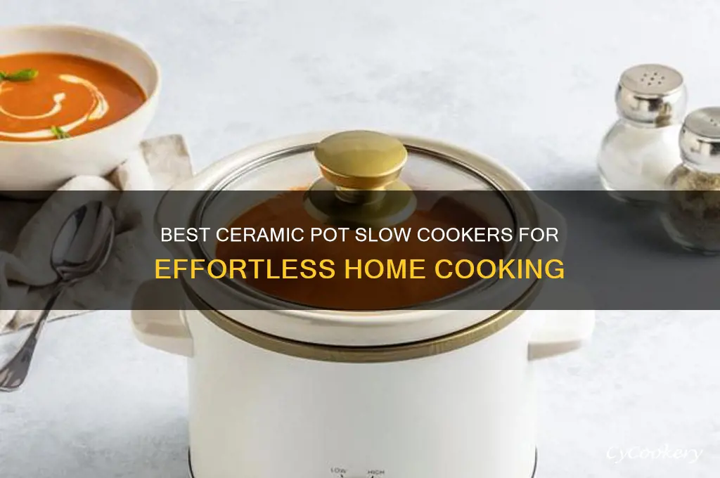 which slow cooker are ceramic pot