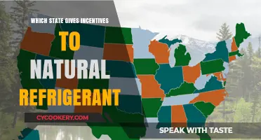 States Offering Incentives for Natural Refrigerants: A Green Cooling Guide
