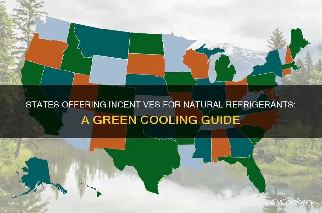 which state gives incentives to natural refrigerant