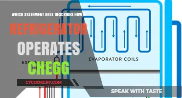 Cooling Essentials: How Refrigerators Keep Your Food Fresh