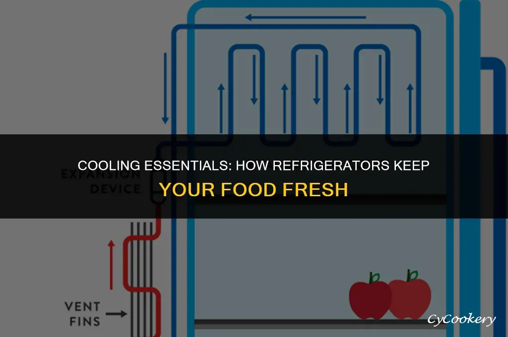 which statement best describes how a refrigerator operates chegg