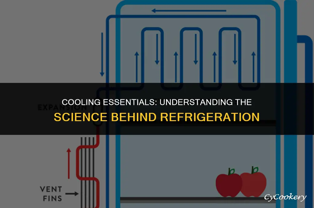 which statement best describes how a refrigerator operates