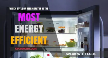 Eco-Friendly Cooling: Unveiling the Most Energy-Efficient Refrigerator Styles