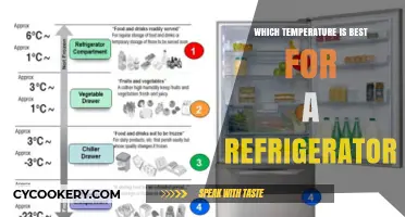 Optimal Refrigerator Temperature: Best Practices for Food Safety and Freshness