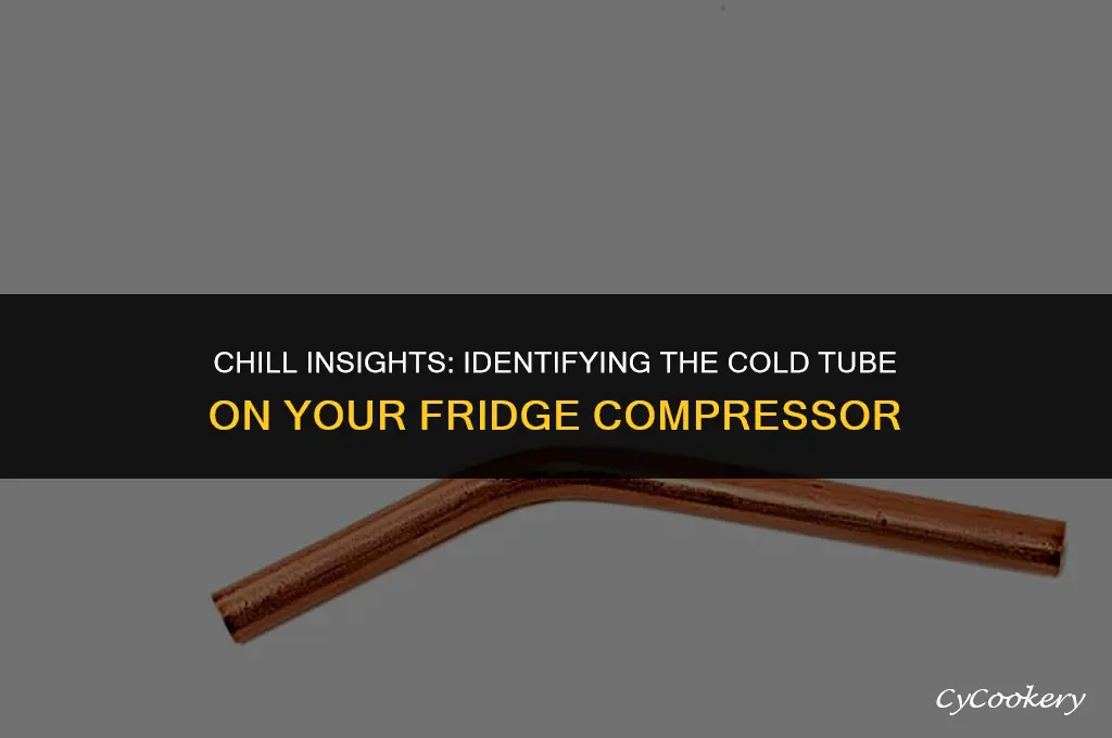 which tube on a refrigerator compressor should be cold
