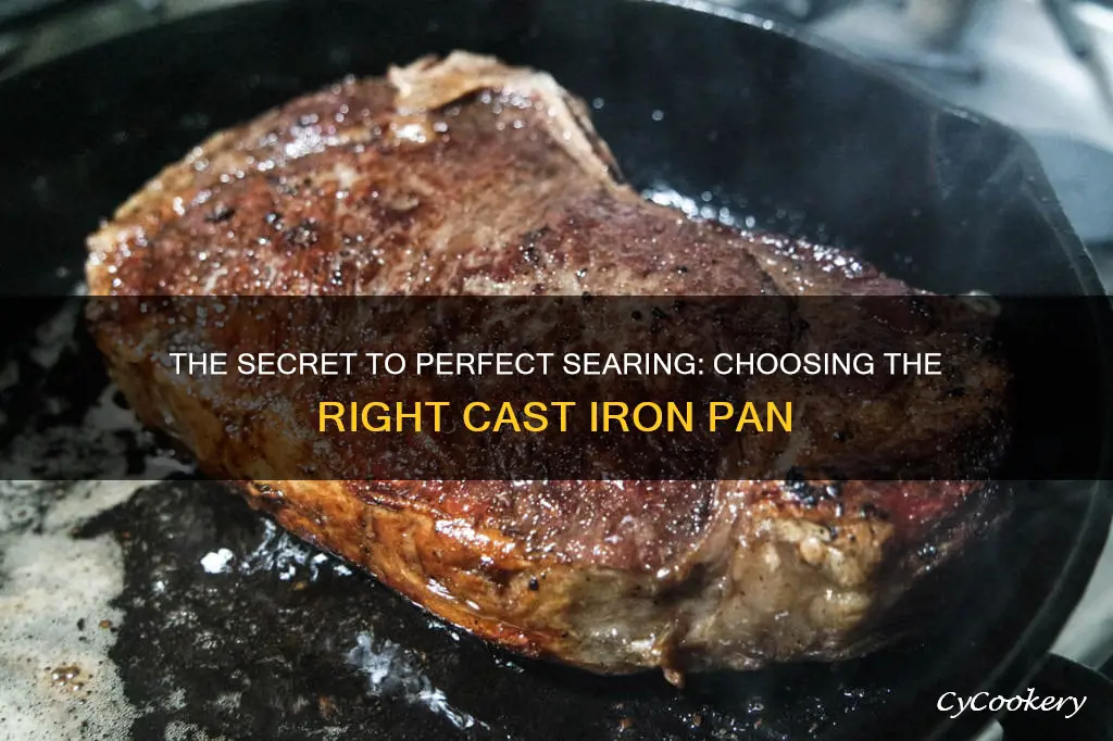 which type of cast iron pan best for searing