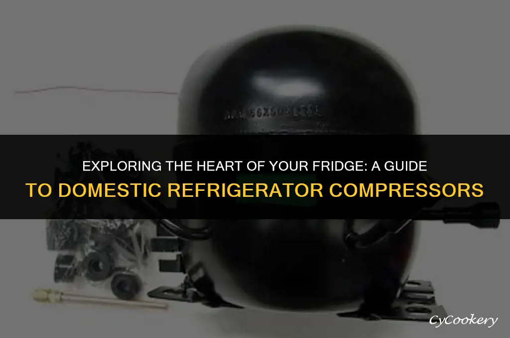 which type of compressor used in domestic refrigerator
