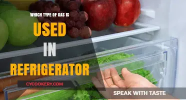 Exploring the Cooling Power: Types of Gas Used in Refrigerators