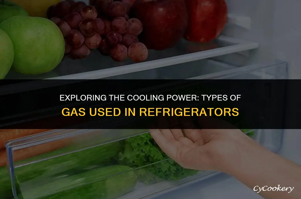 which type of gas is used in refrigerator