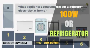 Electricity Usage Comparison: 100W Devices vs. Refrigerator Consumption