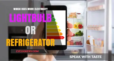 Lightbulb vs. Refrigerator: Which Appliance Consumes More Electricity?