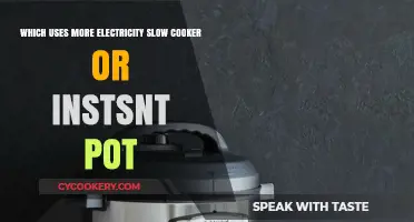 Slow Cooker vs. Instant Pot: Which Appliance Consumes More Electricity?