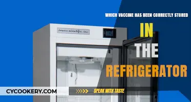 Chilling Facts: The Ultimate Guide to Proper Vaccine Storage