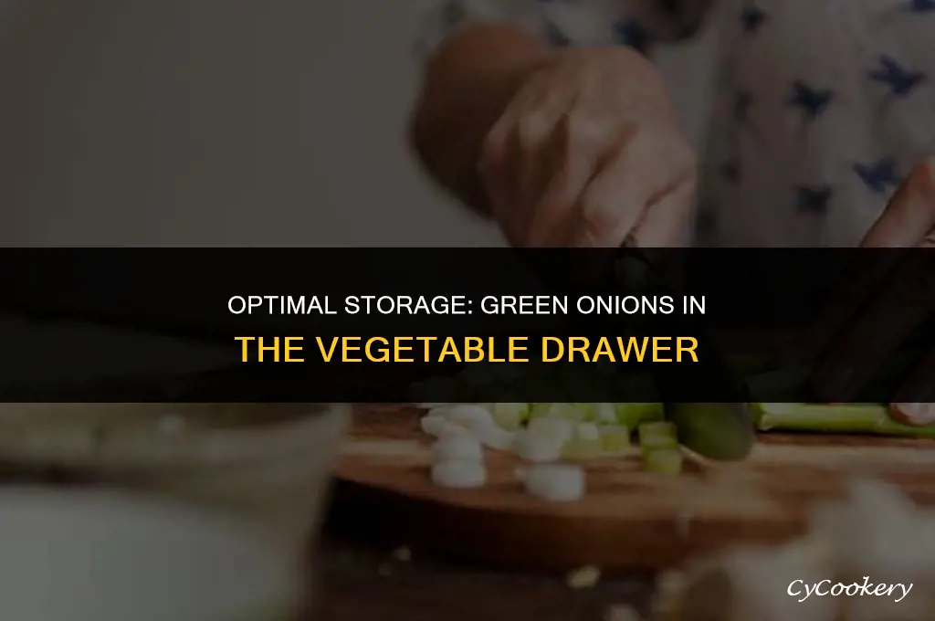 which vegetable drawer to store green onions in refrigerator