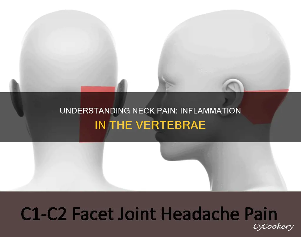 which vertabre in neck gets inflammation pan