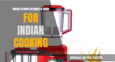 Vitamix Blenders: Best Options for Indian Cooking