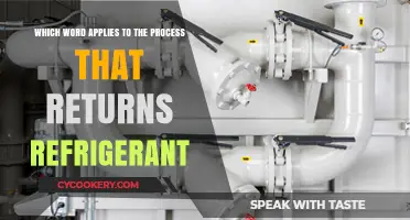 Understanding the Refrigerant Recovery Process: Key Steps and Best Practices