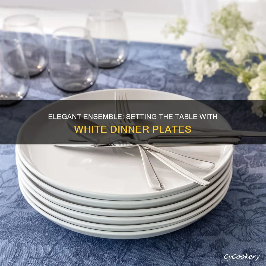 white dinner plates set of 12