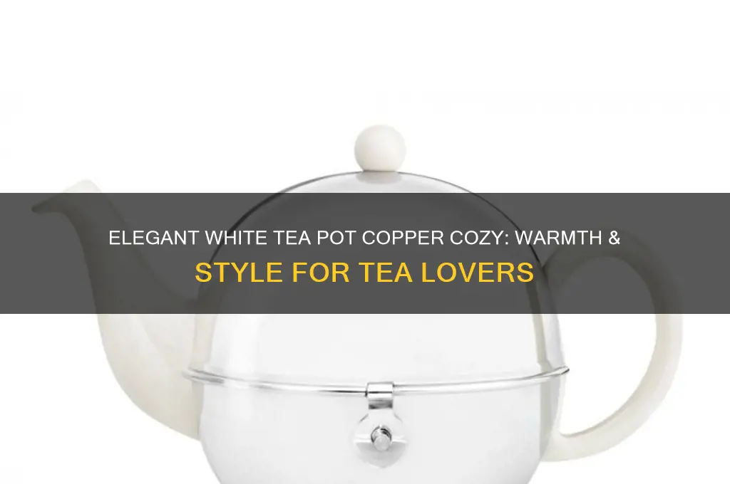 white tea pot copper cozy