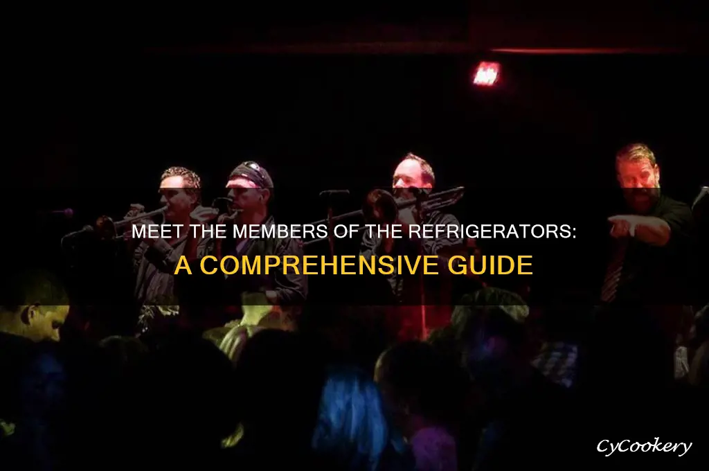 who are the members of the refrigerators