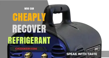 Affordable Refrigerant Recovery Options: Who Can Help You Save Money?