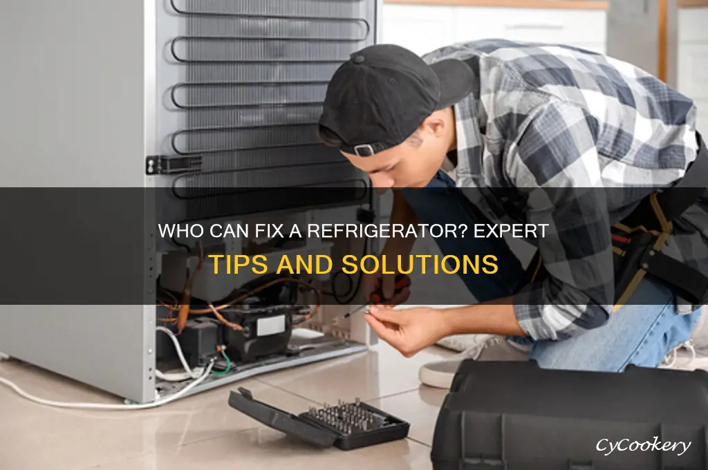 who can fix a refrigerator