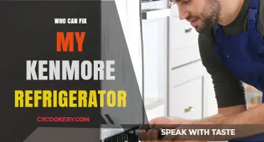 Expert Repair Solutions: Who Can Fix My Kenmore Refrigerator?