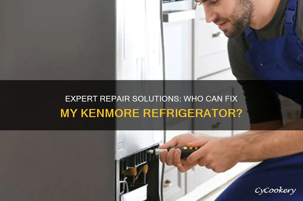 who can fix my kenmore refrigerator