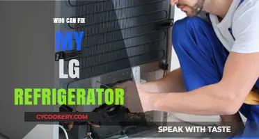 Expert LG Refrigerator Repair: Who Can Fix Your Appliance?