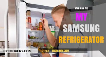 Expert Samsung Refrigerator Repair: Who Can Fix Your Appliance?