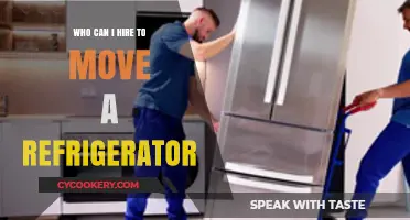 Hiring Professionals to Safely Move Your Refrigerator: A Complete Guide