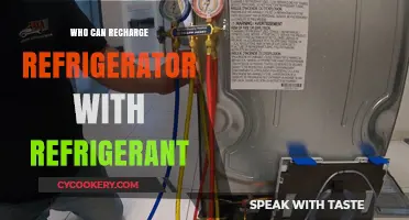 Who Can Recharge Your Refrigerator with Refrigerant? Expert Guide