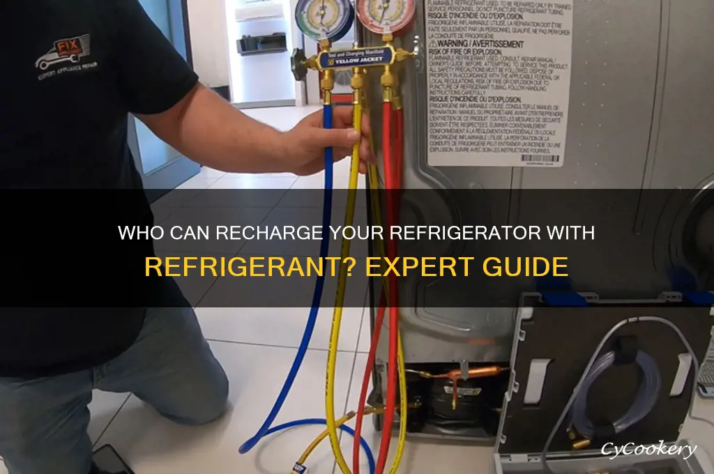 who can recharge refrigerator with refrigerant
