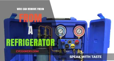 Who Can Safely Remove Freon from Your Refrigerator? A Guide