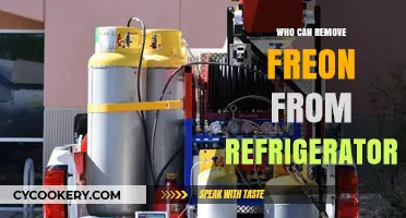 Who Can Safely Remove Freon from Your Refrigerator? A Guide