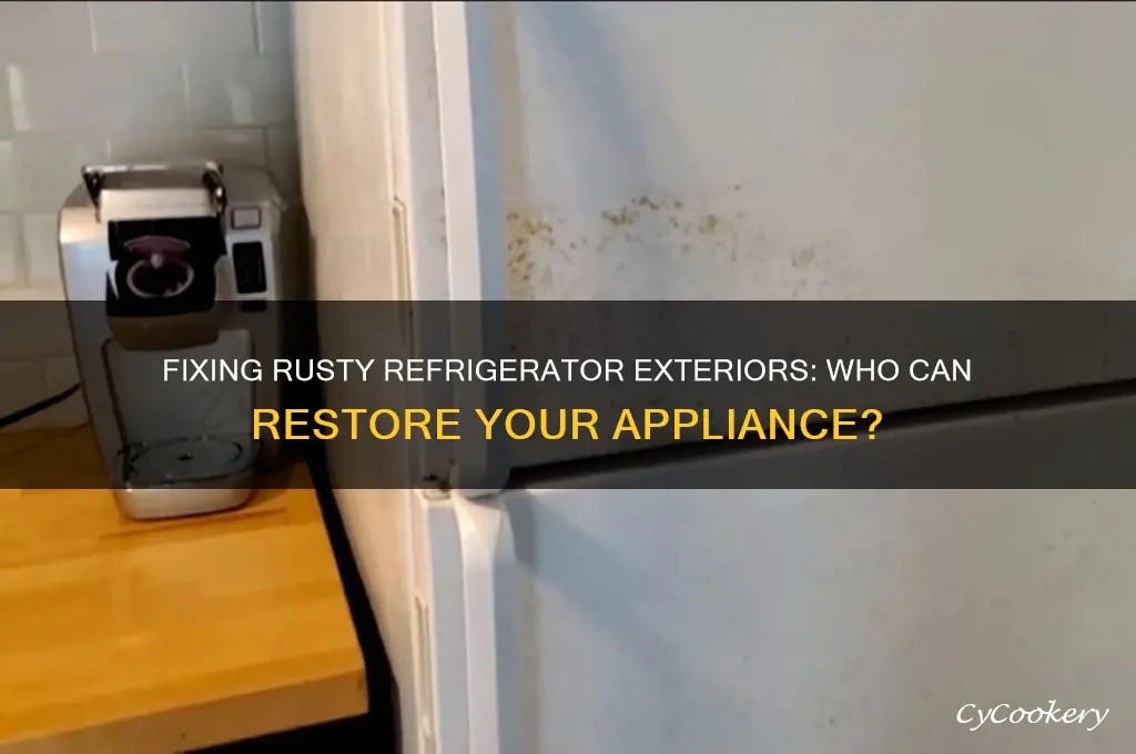 who can repair outside of refrigerator that has rust stains