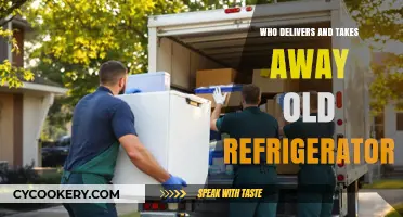 Efficient Old Refrigerator Removal and Delivery Services Near You
