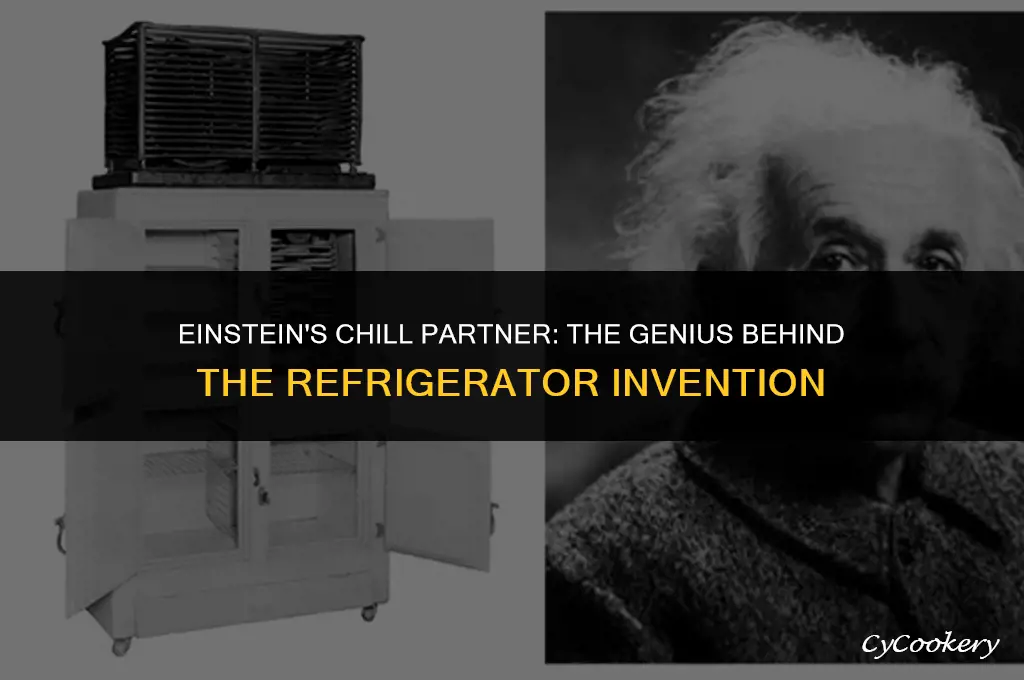 who did albert einstein invent the refrigerator with