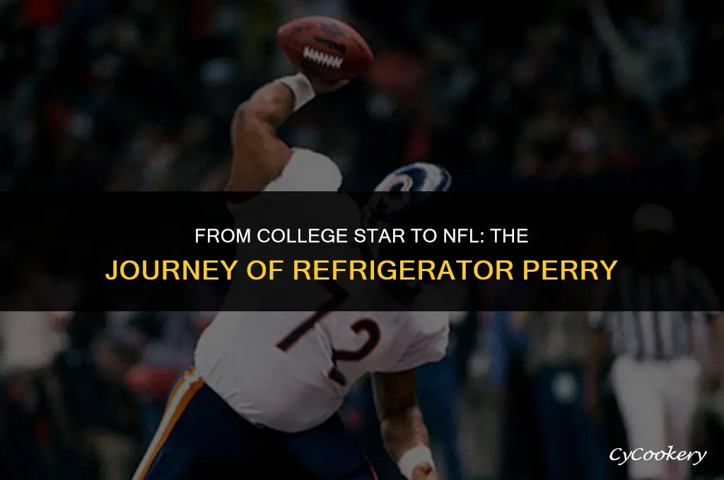 who did refrigerator perry play for in the nfl