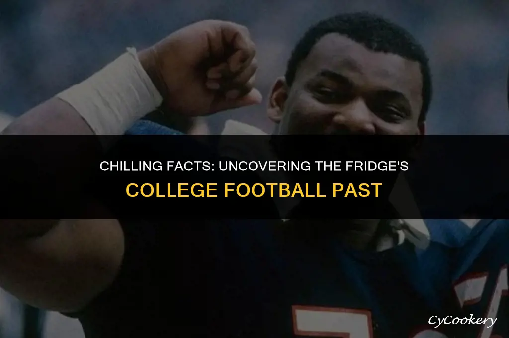 who did the refrigerator play for in college
