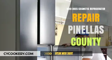 Cosmetic Refrigerator Repair Experts in Pinellas County: Who to Call