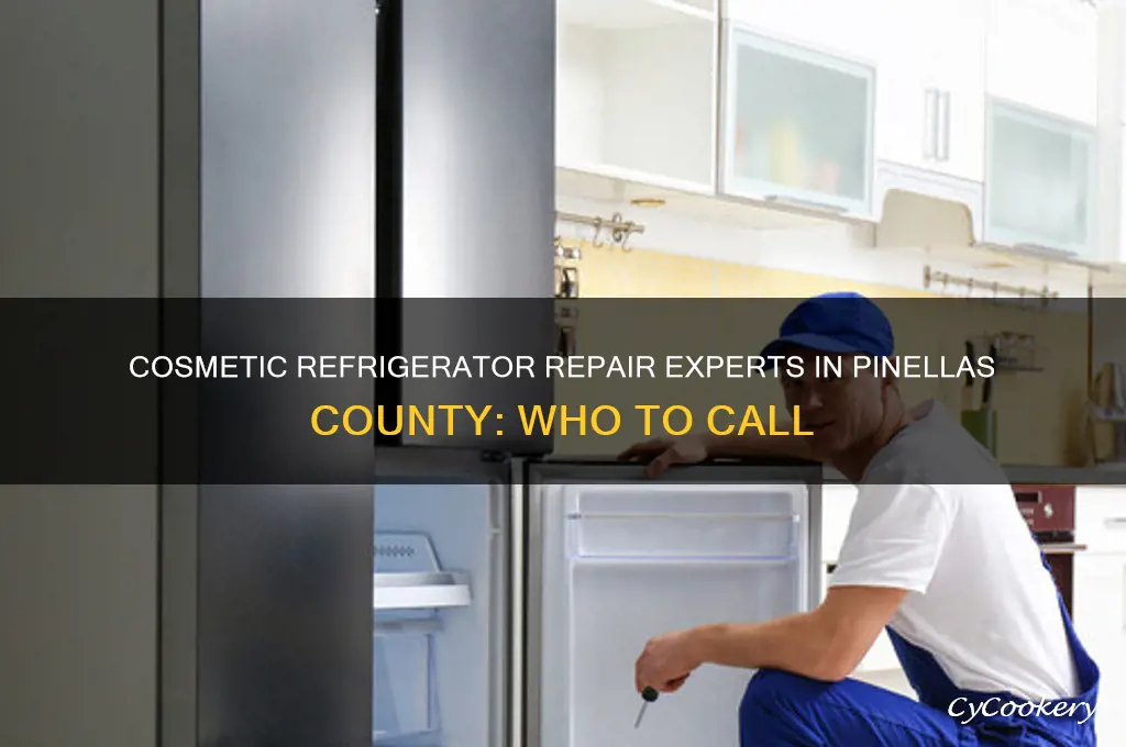 who does cosmetic refrigerator repair pinellas county