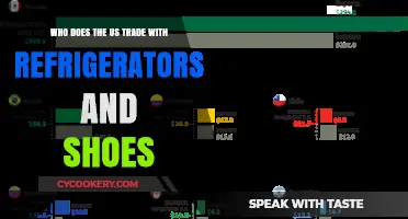 Exploring the Surprising Trade Partners for US Refrigerators and Shoes