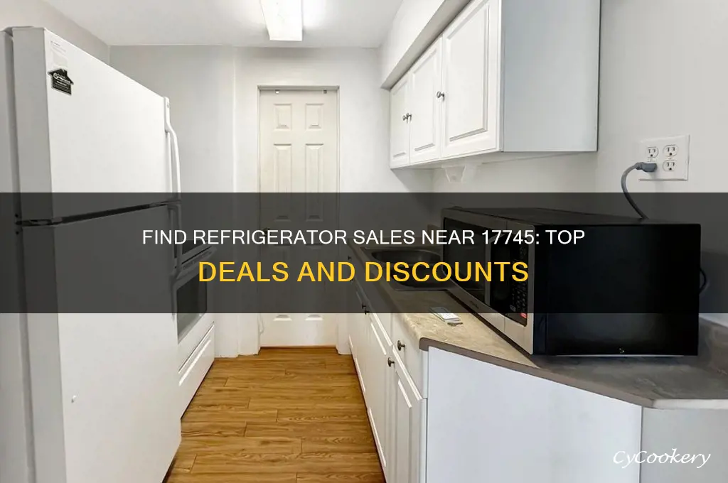 who has refrigerators on sale nearest 17745