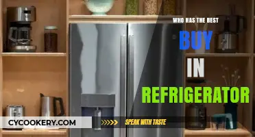 Top Refrigerator Brands: Who Offers the Best Buy in 2023?