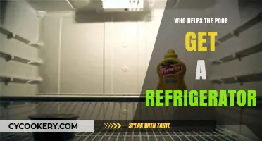 Empowering the Poor: Who Provides Access to Refrigerators?