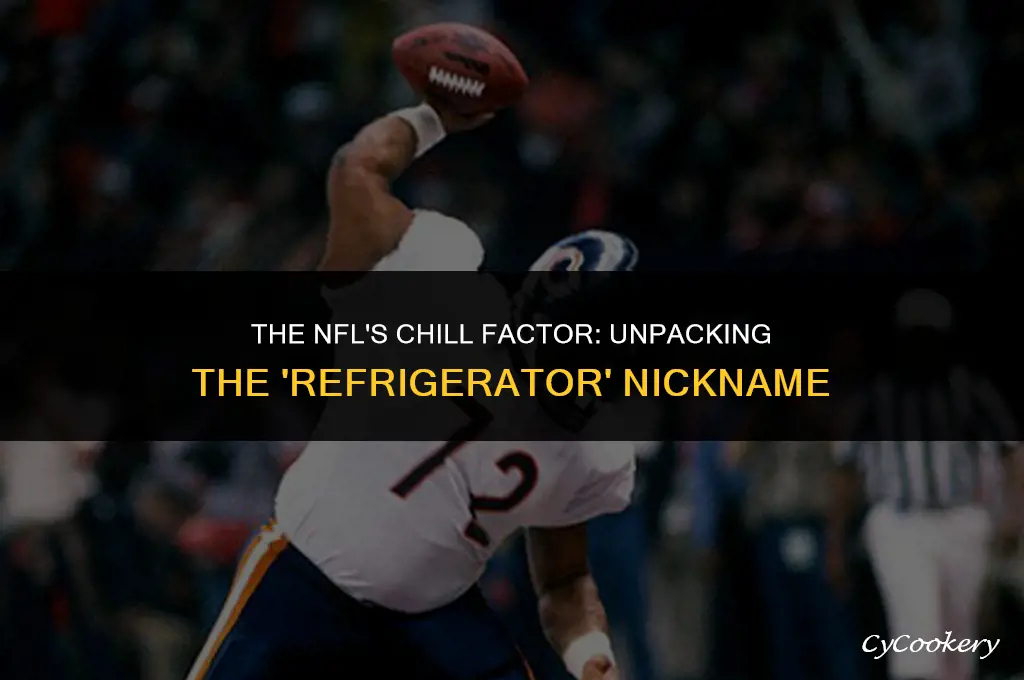 who in the nfl was called the refrigerator