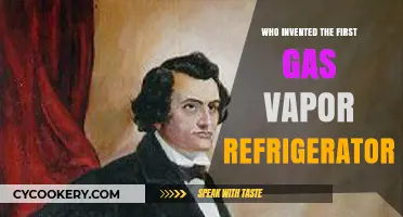 The Revolutionary Inventor Behind the First Gas Vapor Refrigerator