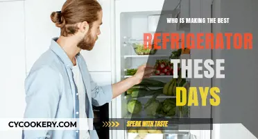 Cooling Down the Competition: Top Refrigerator Brands of 2024